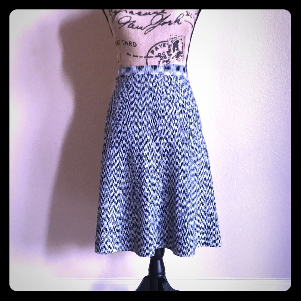 Ann Taylor Flare Skirt.